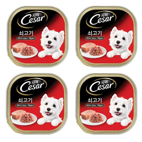 시저 반려견 주식캔, 소, 100g, 4개
