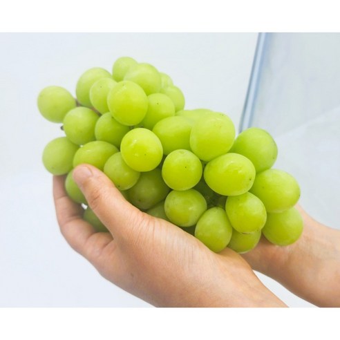다조은 비파괴당도선별 샤인머스켓, 500g, 1팩 10 고당도 샤인머스켓 프리미엄 망고포도 청포도, 1개, 프리미엄 샤인머스켓 700g(1수)
