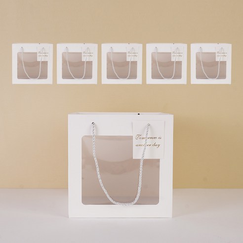 빛공 바닥넓은 정사각 투명창 윈도우 쇼핑백: 감각적인 선물 포장의 완성 투명쇼핑백