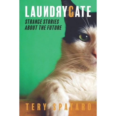 Laundrygate: Strange Stories About the Future Paperback, Independently Published