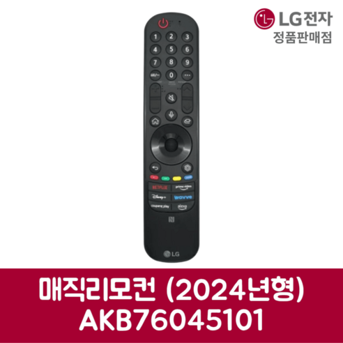 LG전자 엘지 정품 TV 매직리모컨 2024년형 AKB76045101, 기본선택, 1개