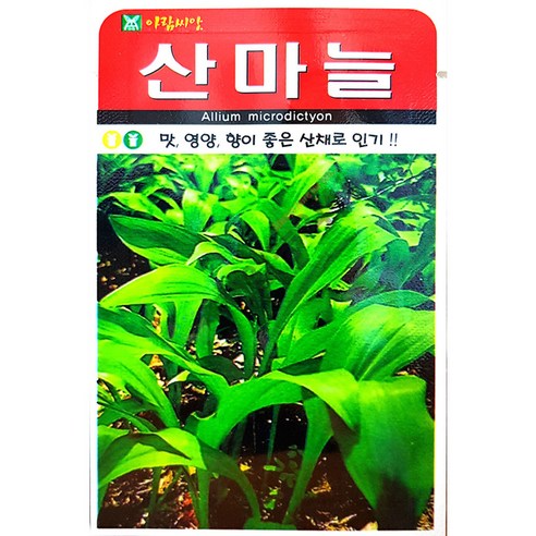 씨앗팜 산마늘 명이나물 씨앗 3개 (50립x3)
