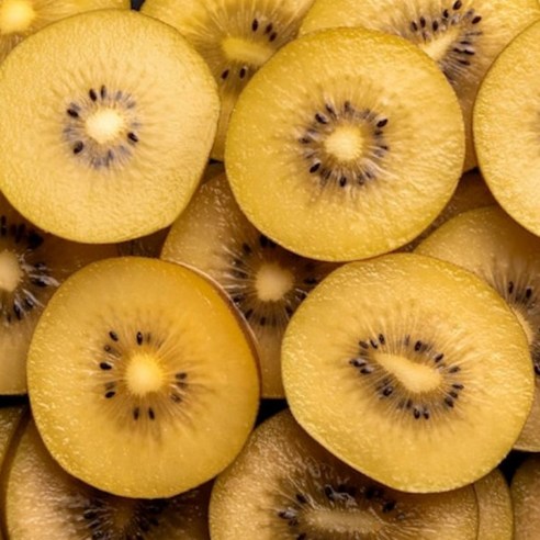 제스프리 골드 키위 당도선별 1kg, 개당 100g내외 1kg(10과내외), 1개