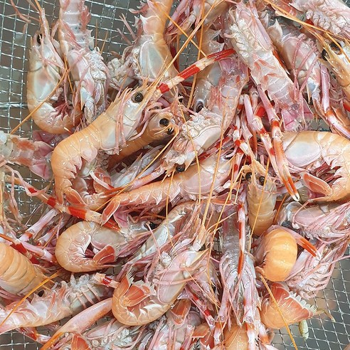 제주 자연산 딱새우회, 신선함과 건강함을 모두 잡은 제품