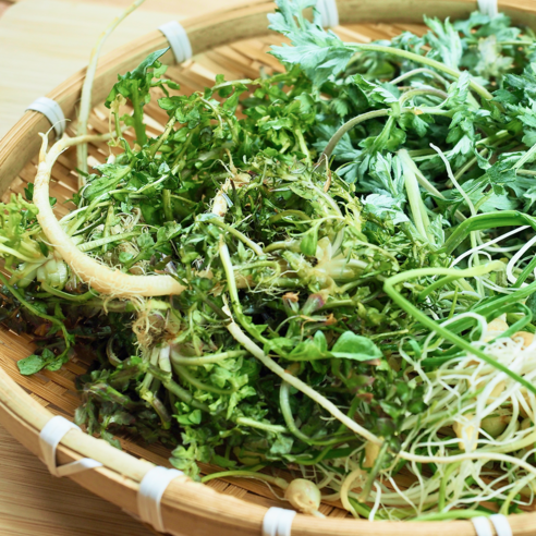 황토의 기운을 담은 무농약 세척 냉이로 봄 식탁을 풍요롭게!