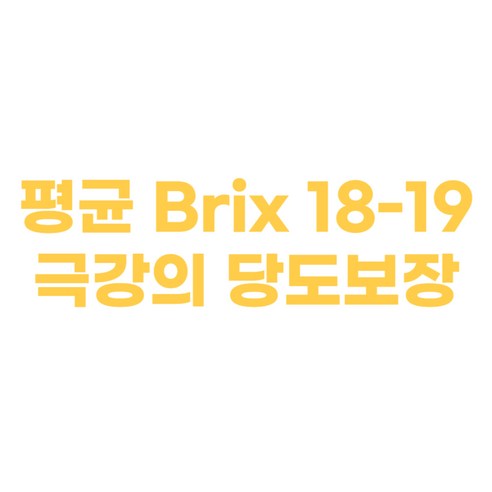 꿀맛 가득한 성주 꿀참외를 농장에서 직접 신선하게!