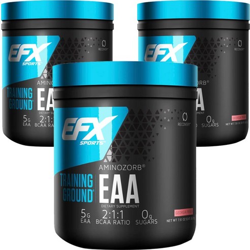 올아메리칸이에프엑스 트레이닝 그라운드 아미노조브 EAA 조지아 피치