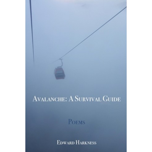 (영문도서) Avalanche: A Survival Guide Paperback, Blue Cedar Press, English, 9781958728154