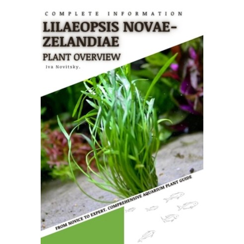 (영문도서) Lilaeopsis Novae-zelandiae: From Novice to Expert. Comprehensive Aquarium Plants Guide Paperback, Independently Published, English, 9798853902435