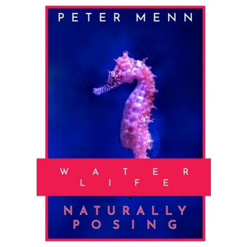(영문도서) Water Life: This book features a series of shots of some of the most astonishing aquatic life... Paperback, Peter Menn, English, 9781803005133