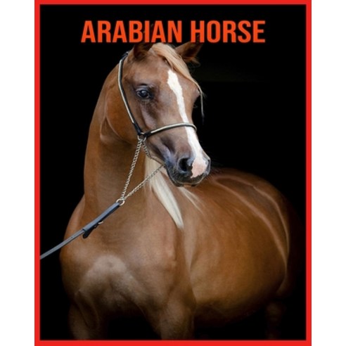 Arabian Horse: Fun Facts & Cool Pictures Paperback, Independently Published, English, 9798706874223