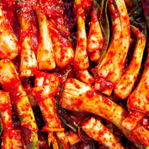 전라도 손맛으로 빚어낸 당일제조 국내산 파김치