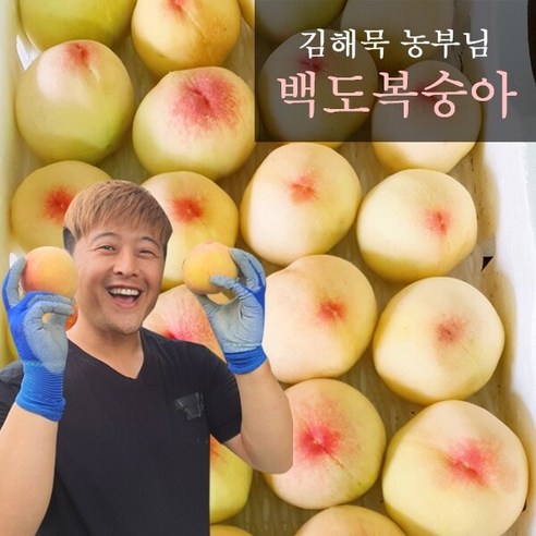 예천 백도 복숭아, 올해 수확한 2.5kg 중과 14과 판매 가능! 6월말부터 출고 시작! 청도복숭아 예천 백도 복숭아, 올해 수확한 2.5kg 중과 14과 판매 가능! 6월말부터 출고 시작! 청도복숭아