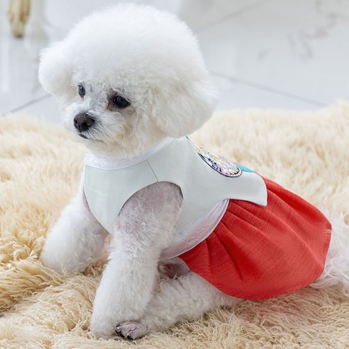 금동이 펫 GW008 무지개둥근꽃보 강아지 고양이 애견 한복, 혼합색상