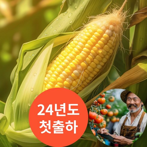 피기푸드 생초당옥수수 고당도 초당옥수수 농장직송, 5개, 특품