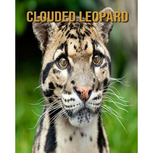 Clouded Leopard: Amazing Photos of Animals in Nature About Clouded Leopard Paperback, Independently Published