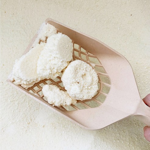 스파이더스쿱 하나로 집사와 고양이 모두를 행복하게