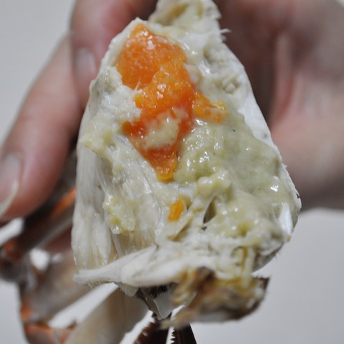 신선하고 풍부한 맛의 산지직송 활 냉동 알배기 암꽃게