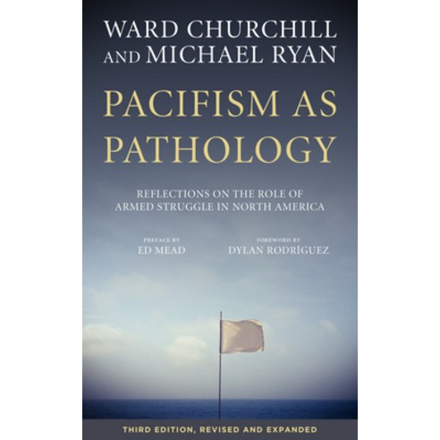(영문도서) Pacifism as Pathology: Reflections on the Role of Armed Struggle in North America Paperback, PM Press, English, 9781629632247