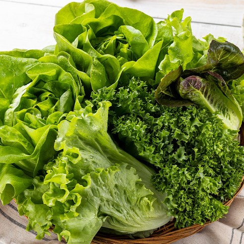 [산지직송] 친환경 무농약 유러피안 샐러드(5-7종), 1개, 1kg