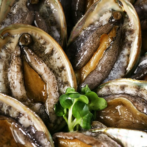 신선하고 건강한 완도 전복, 합리적인 가격으로 즐기자