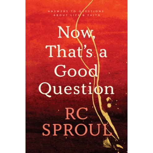 Now That''s a Good Question: Answers to Questions about Life and Faith Paperback, Tyndale Momentum