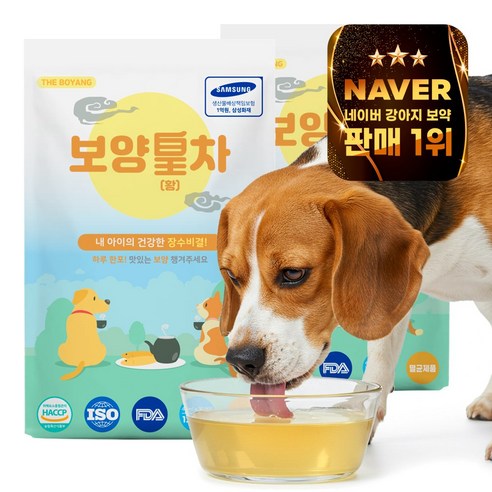 더보양 보양황차 강아지 고양이 마시는 천연 영양제, 40ml, 60개