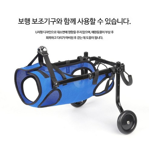 휠체어와 척추보조기로 늙어가는 강아지에게 새로운 삶을 선물하세요!