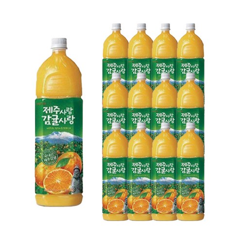 롯데칠성음료 제주감귤 500ml x 6펫, 6개 감귤한모금 Best Top5