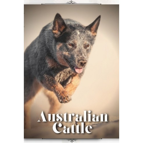 (영문도서) Australian Cattle: Dog breed overview and guide Paperback, Independently Published, English, 9798850576912