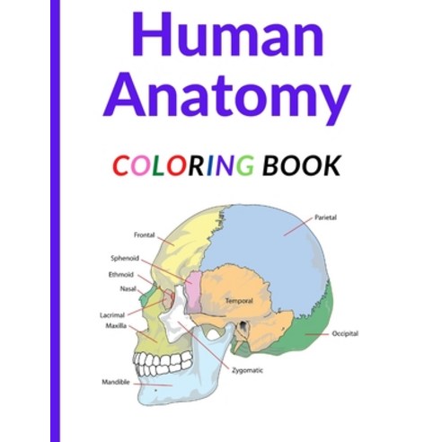 Human Anatomy Coloring Book: Ultimate human body anatomy activity book Paperback, Independently Published, English, 9798713345754