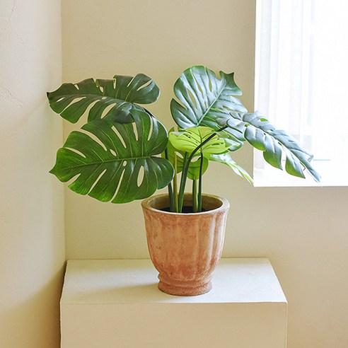 시간의 흔적을 담은 예술, 베트남 토분으로 완성하는 감성적인 공간