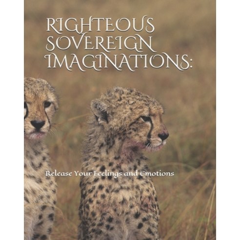 Righteous Sovereign Imaginations: : Release Your Feelings and Emotions Paperback, Independently Published