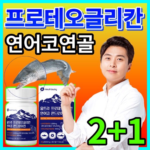 올인원 프로테오글리칸 연어코 연골 추출물 정 프리테오글리칸 상어연골 콘드로이친 분말 함유 60정, 3개