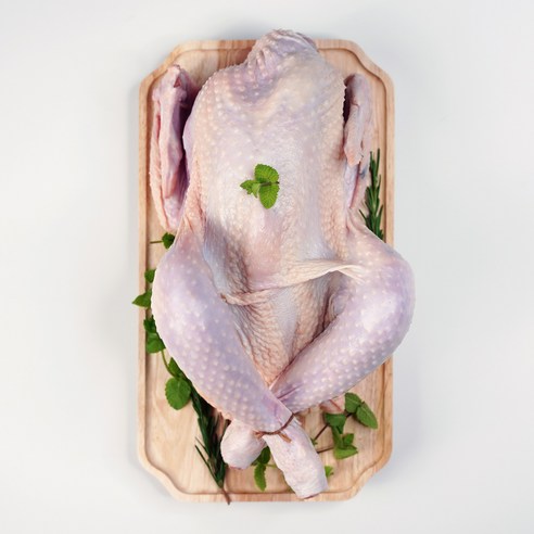 국내산 잘키운 토종닭 삼계닭 백숙용 생닭, 1.5kg, 2개 - 백숙용닭고기 | 쿠팡