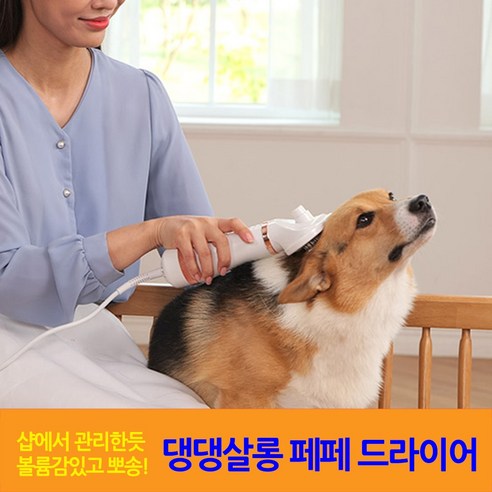 트리플 기능을 갖춘 댕댕살롱 페페 드라이어 애견 빗질 펫드라이기