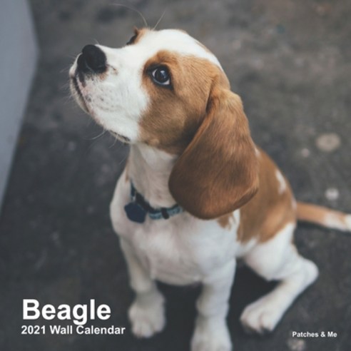 Beagle: 2021 Mini Wall Calendar: Collection of the cutest photos to melt your heart Paperback, Independently Published, English, 9798555079480