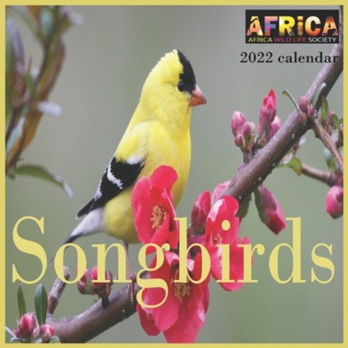 (영문도서) Songbirds calendar 2022: 12 Month Mini Calendar from Jan 2022 to Dec 2022 Cute Gift Idea - P... Paperback, Independently Published, English, 9798516238772