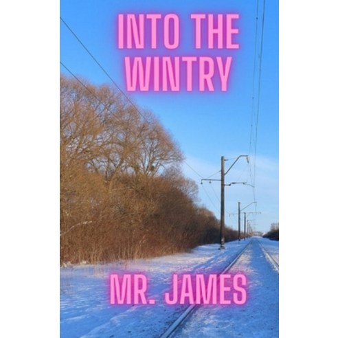 (영문도서) Into the wintry Paperback, Independently Published, English, 9798494256874