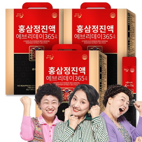 순수식품 6년근 홍삼 진액 에브리데이 365 300포(총 3박스) 홍삼정 홍삼스틱, 10g, 300개