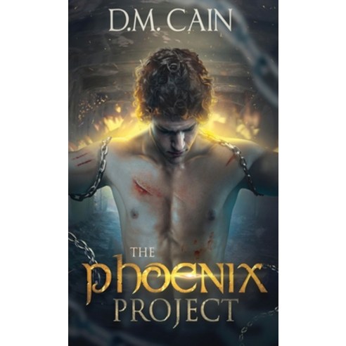 (영문도서) The Phoenix Project Hardcover, Next Chapter, English, 9784867509265