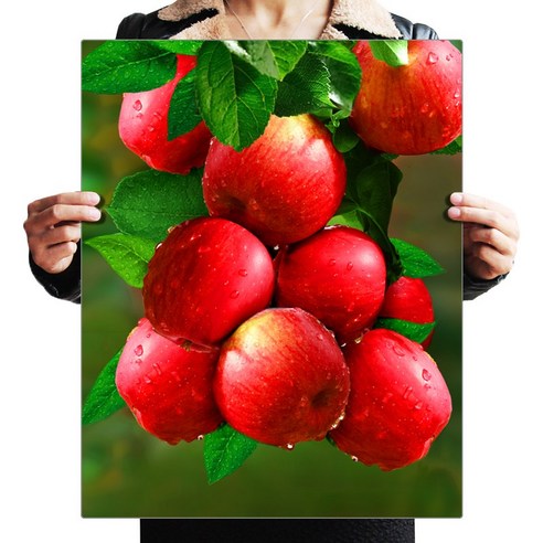 FASEN 액자 캔버스형 보석십자수 DIY 키트 40 x 50 cm, ZSH006.붉은 사과, 1세트