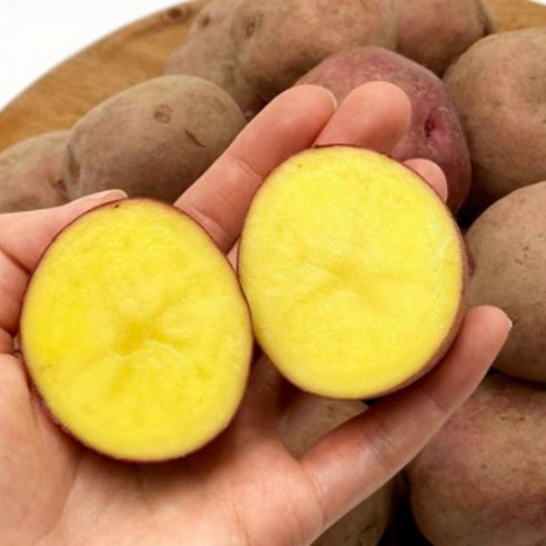 입 안 가득 퍼지는 달콤한 행복, 카스테라 홍감자