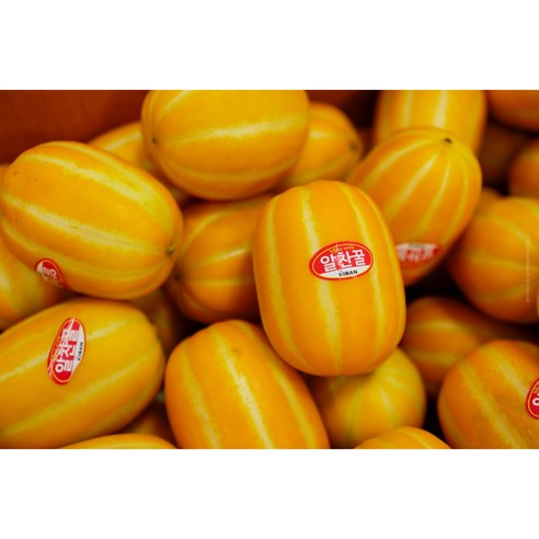 신선한 참외를 합리적인 가격에