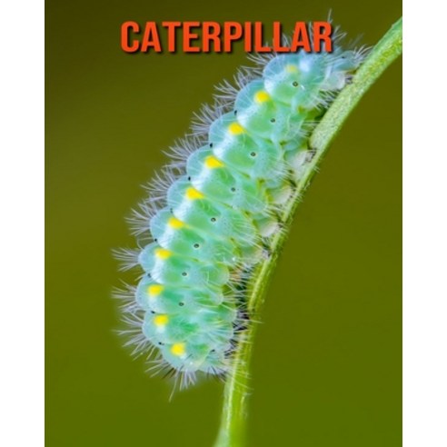 (영문도서) Caterpillar: Beautiful Pictures & Interesting Facts Children Book About Caterpillar Paperback, Independently Published, English, 9798507743667