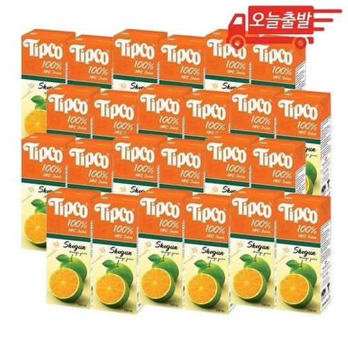 오늘출발 팁코 쇼군 오렌지 200ml 24개
