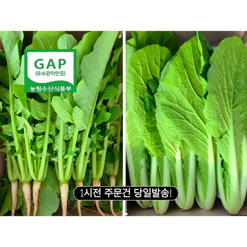 포천 아딸농원 인생열무+인생얼갈이 반반세트(4kg 6kg), 1세트, 열무2kg+얼갈이2kg