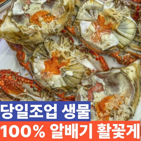국내산 생물 알배기 활꽃게