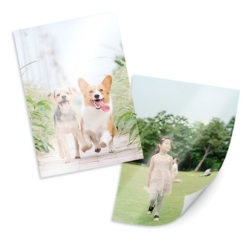 추억을 선명하게, 찰칵포토 온라인 사진인화로 일상을 예술로 승화시키다 사진인화