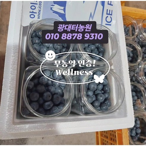 무농약인증 / 고냉지노지 / (국내산) 냉동블루베리 /, 1박스, 혼합형 2kg